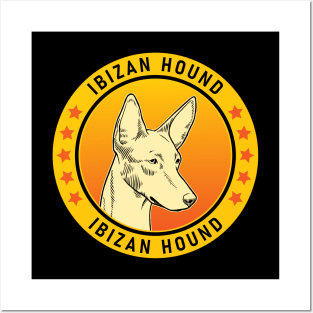 Ibizan Hound Dog Portrait Posters and Art